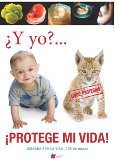 20090318223547-vida.jpg